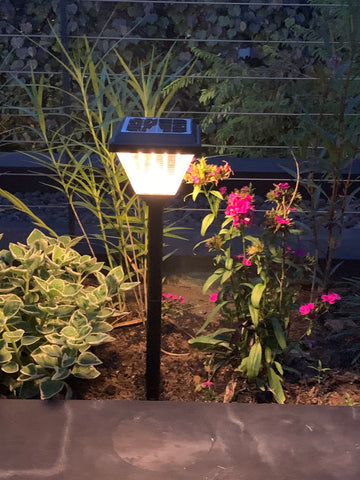 Solar Light - Path Lamp