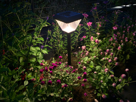 Solar Light - Path Lamp